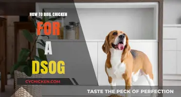 Safe and Simple: Boiling Chicken for Your Dog's Health