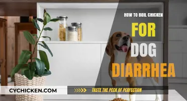 Soothing Dog Diarrhea: A Simple Guide to Boiling Chicken