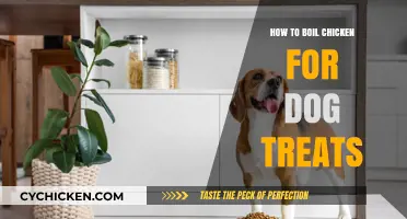 Easy Homemade Dog Treats: Boiling Chicken for Your Pup