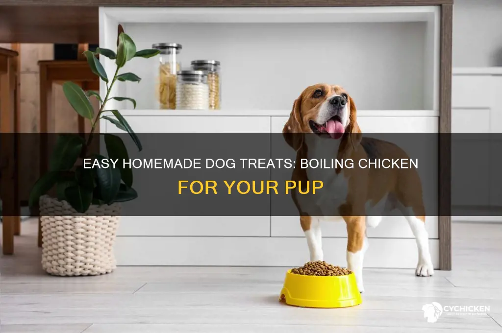 how to boil chicken for dog treats