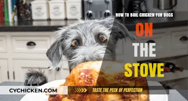 Stovetop Chicken Broth for Dogs: A Simple Guide