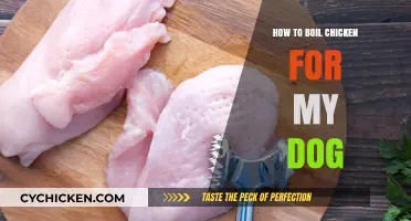 Easy Homemade Dog Food: Perfectly Boiled Chicken Recipe Guide