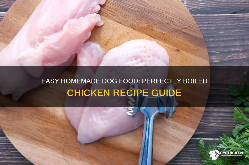 how to boil chicken for my dog