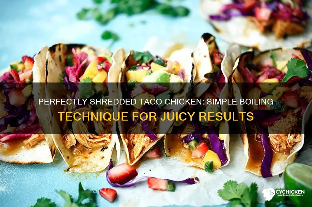 how to boil chicken for shredded tacos