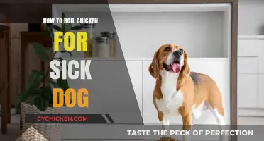 Easy Boiled Chicken Recipe for Your Sick Dog's Recovery