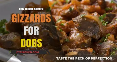Boiling Chicken Gizzards for Dogs: A Healthy Homemade Treat Guide