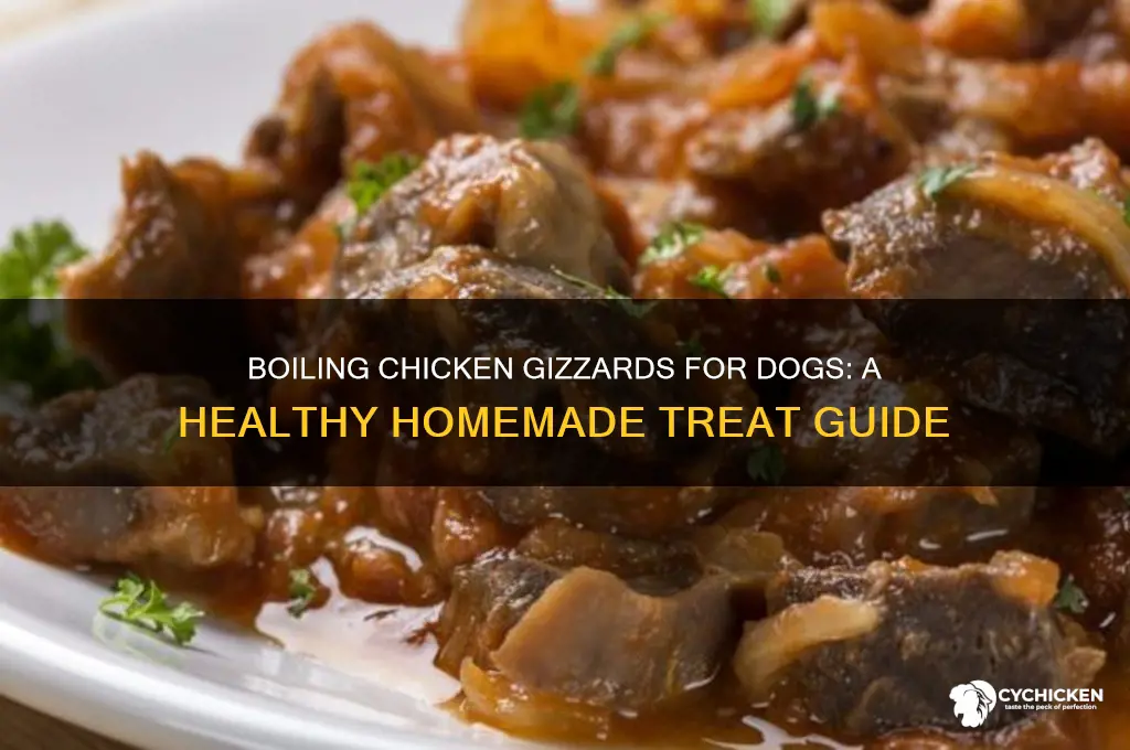 how to boil chicken gizzards for dogs