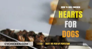 Boiling Chicken Hearts for Dogs: A Simple, Nutritious Treat Guide