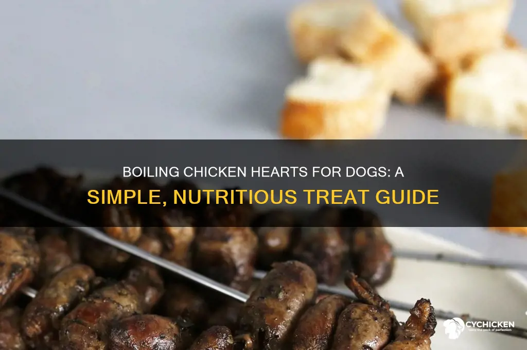 how to boil chicken hearts for dogs