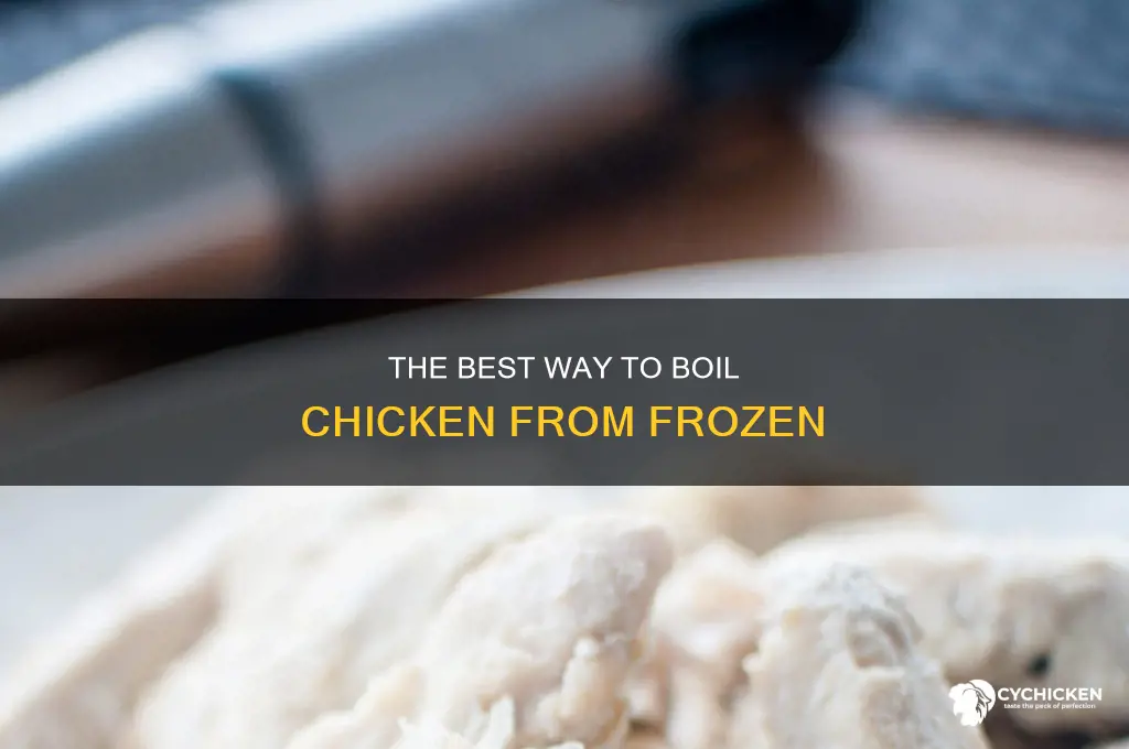 how to boil chicken in water to defrost