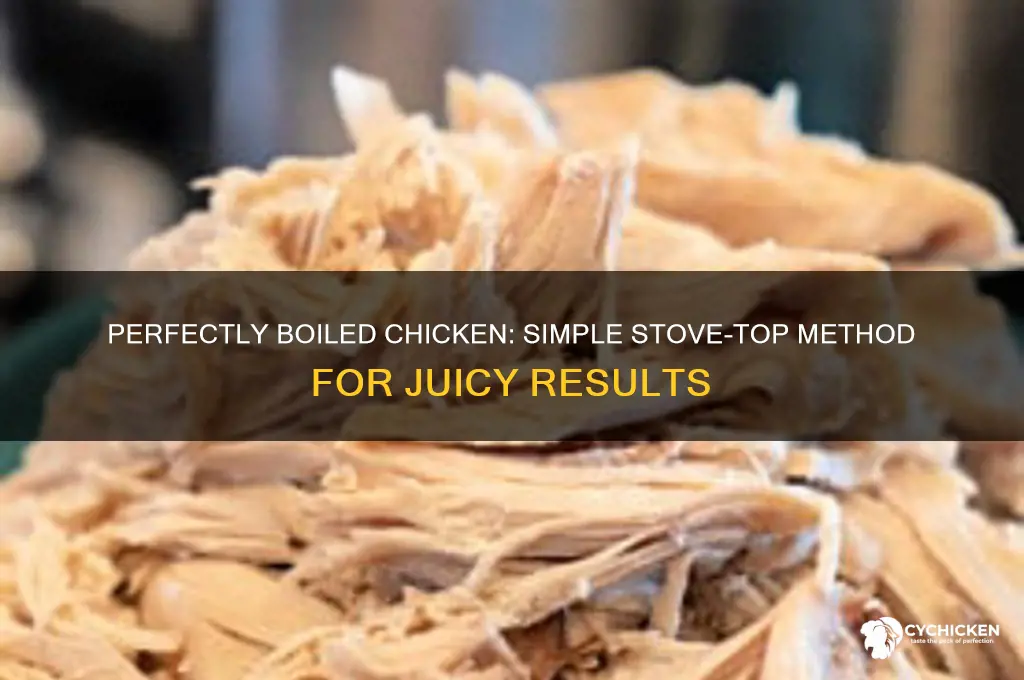 how to boil chicken on the stove