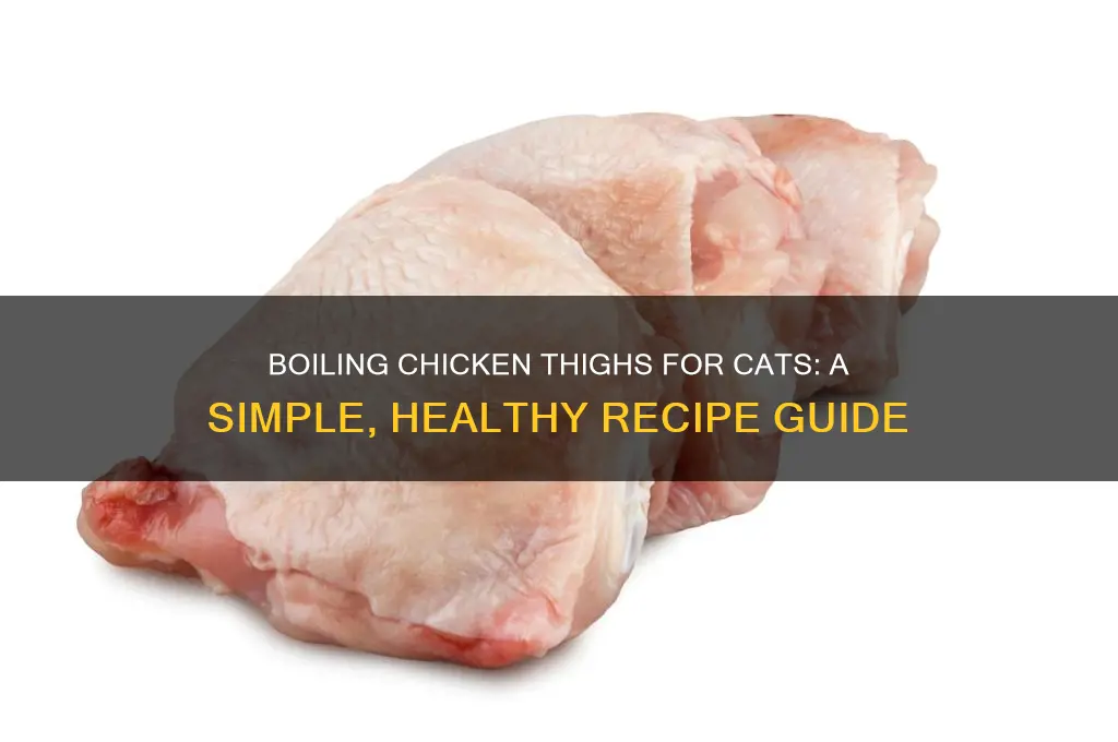 how to boil chicken thighs for cats