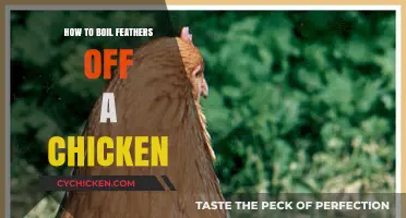 Efficiently Removing Chicken Feathers: A Simple Boiling Technique Guide
