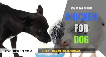 Boiling Ground Chicken for Dogs: A Simple, Healthy Recipe Guide