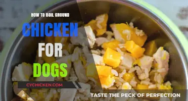 Boiling Ground Chicken for Dogs: A Simple, Healthy Recipe Guide