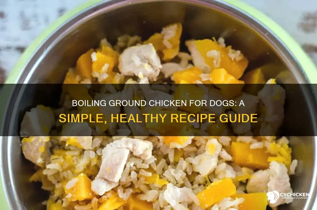 how to boil ground chicken for dogs