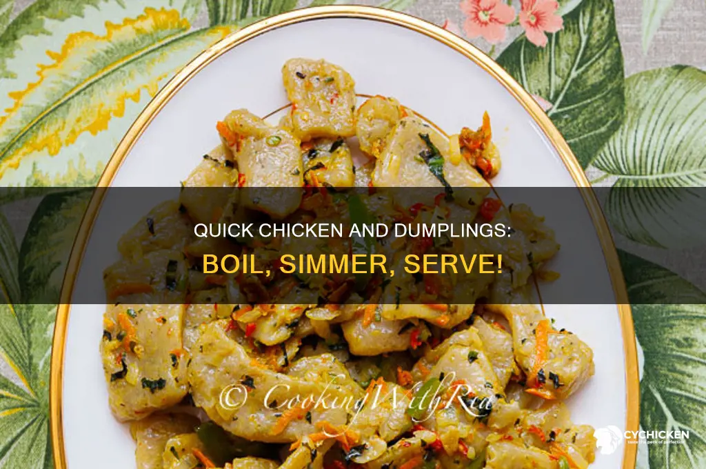 how to boil premade biscuits chicken and dumplings