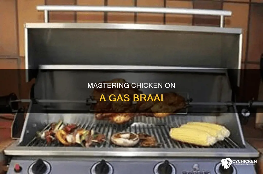 how to braai chicken on a gas braai