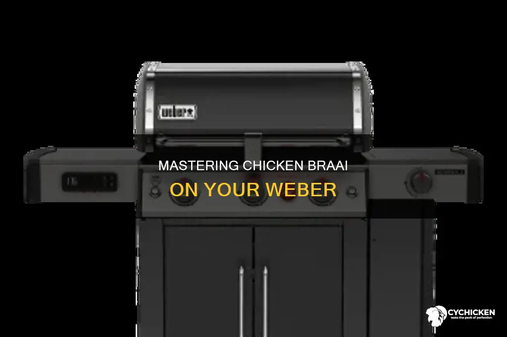 how to braai chicken pieces on a weber