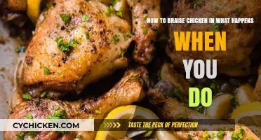 Braising Chicken: A Simple Guide to Tender, Juicy Meat