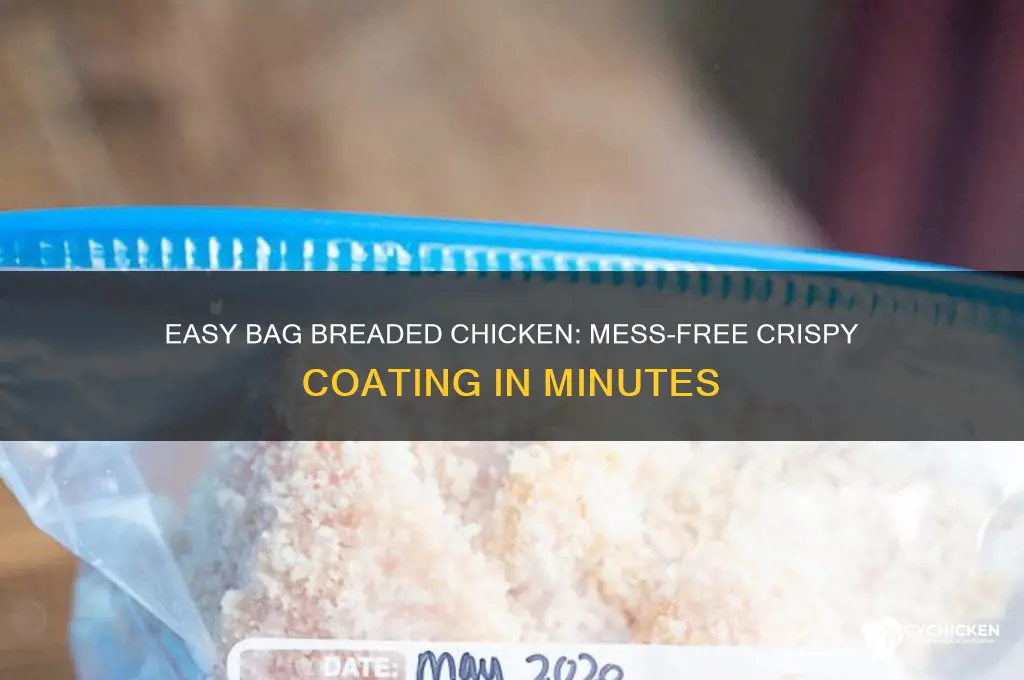 how to bread chicken in a bag