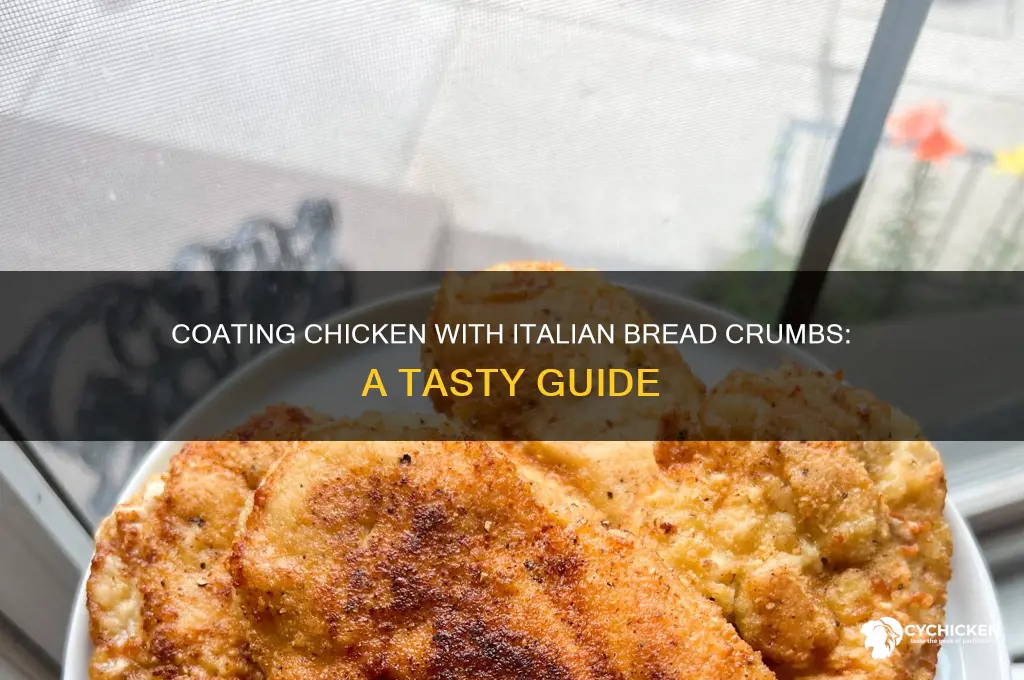 how to bread chicken with italian bread crumbs