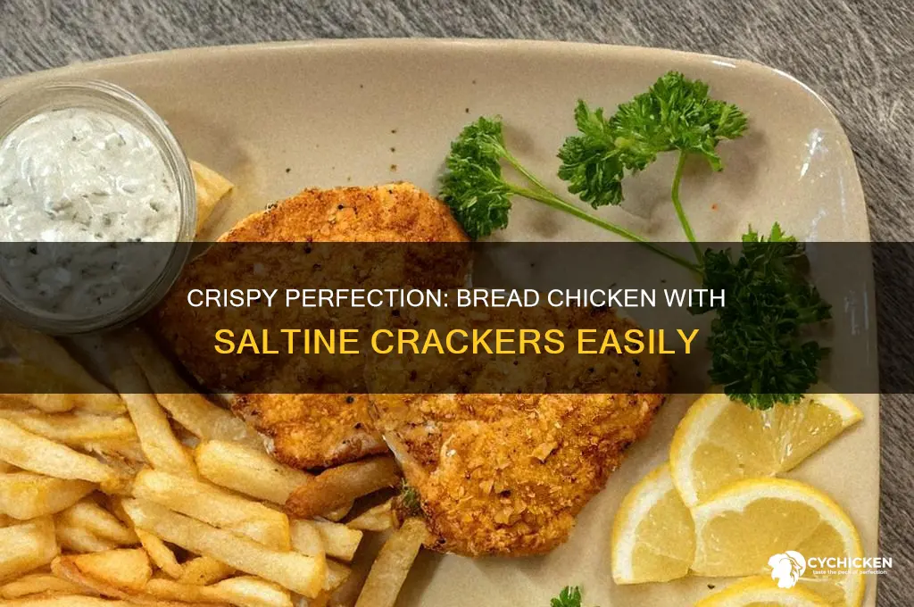 how to bread chicken with saltine crackers