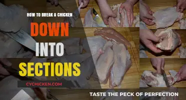 Breaking Down a Chicken: A Step-by-Step Guide