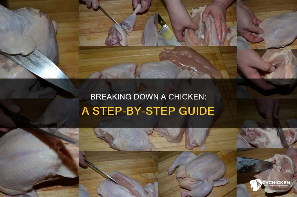 how to break a chicken down into sections