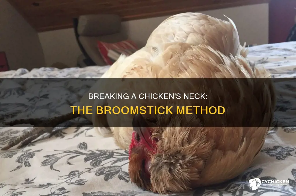 how to break a chicken