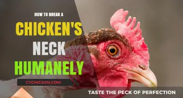 The Quickest, Most Humane Way to Dispatch a Chicken