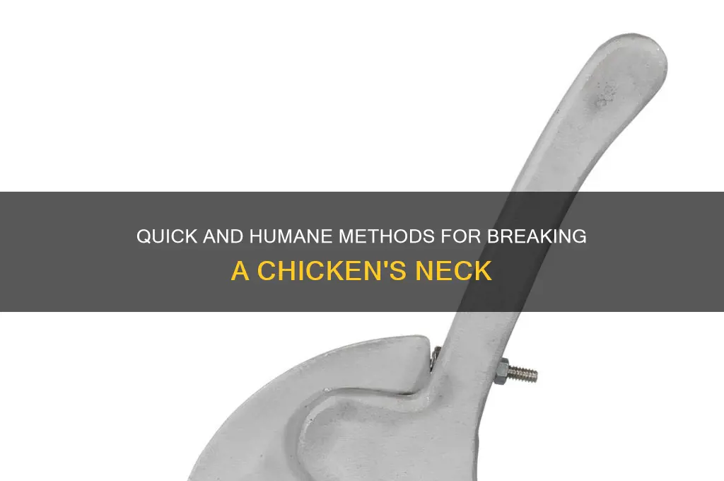 how to break a chicken