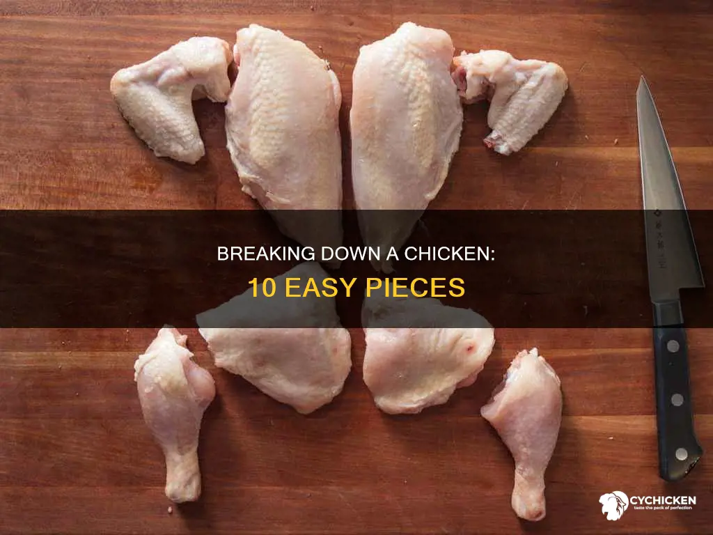 how to break down a chicken into 10 pieces