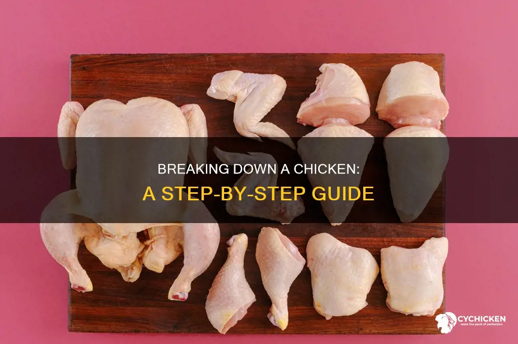 how to break down a chicken into parts