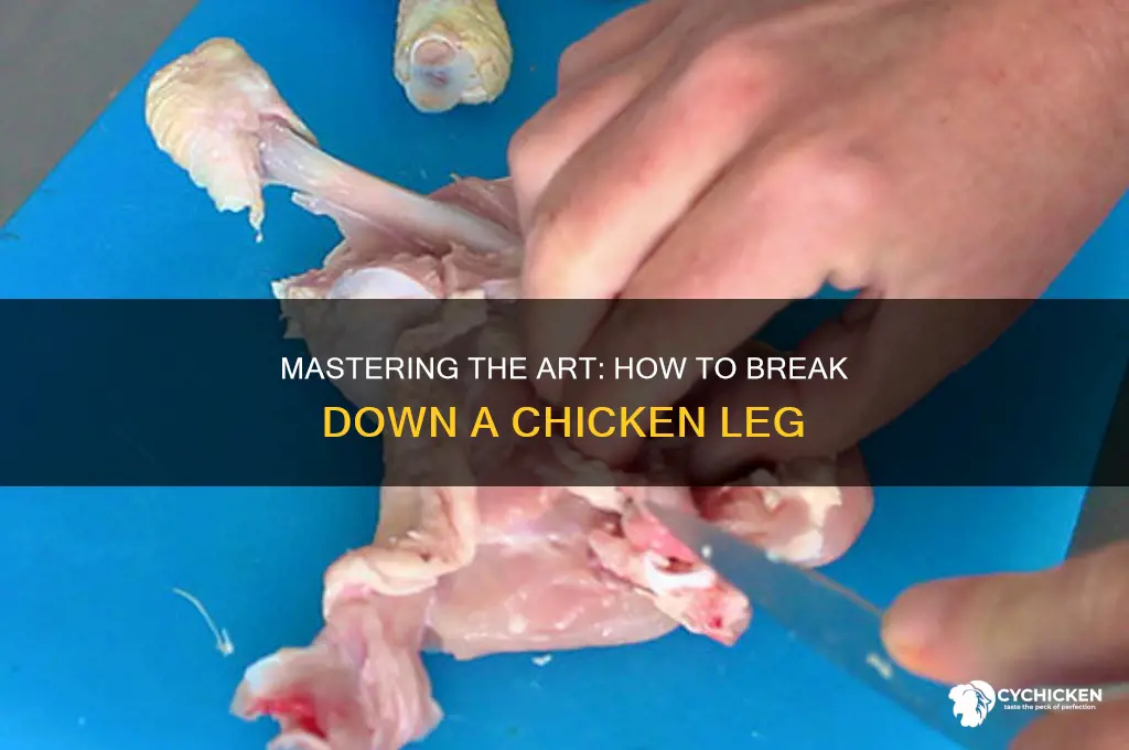 how to break down a chicken leg
