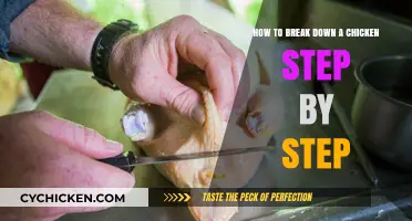 Breaking Down a Chicken: A Step-by-Step Guide