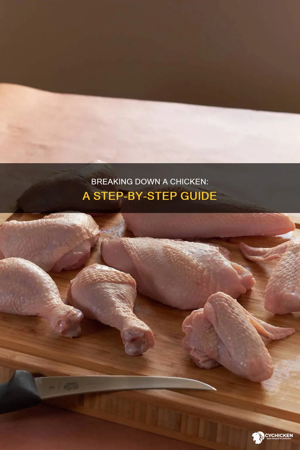 how to break down a chicken step by step