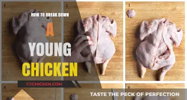 Mastering the Art of Breaking Down a Young Chicken: Step-by-Step Guide