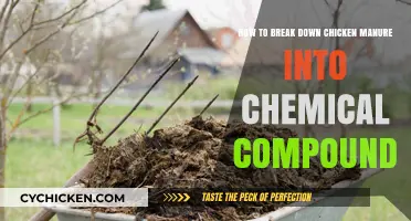 Chicken Manure: Breaking Down the Chemistry