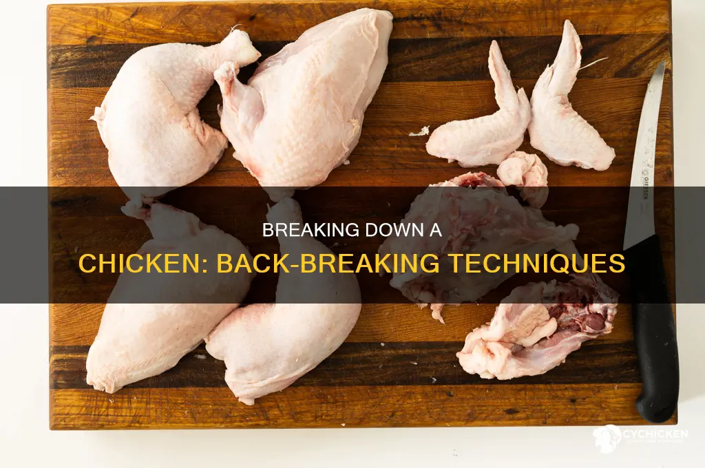 how to break the back of a chicken