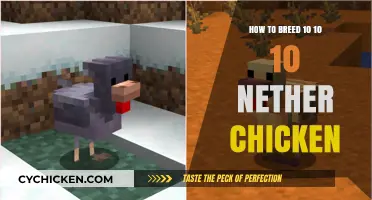 Breeding Perfect Nether Chickens: A Step-by-Step Guide