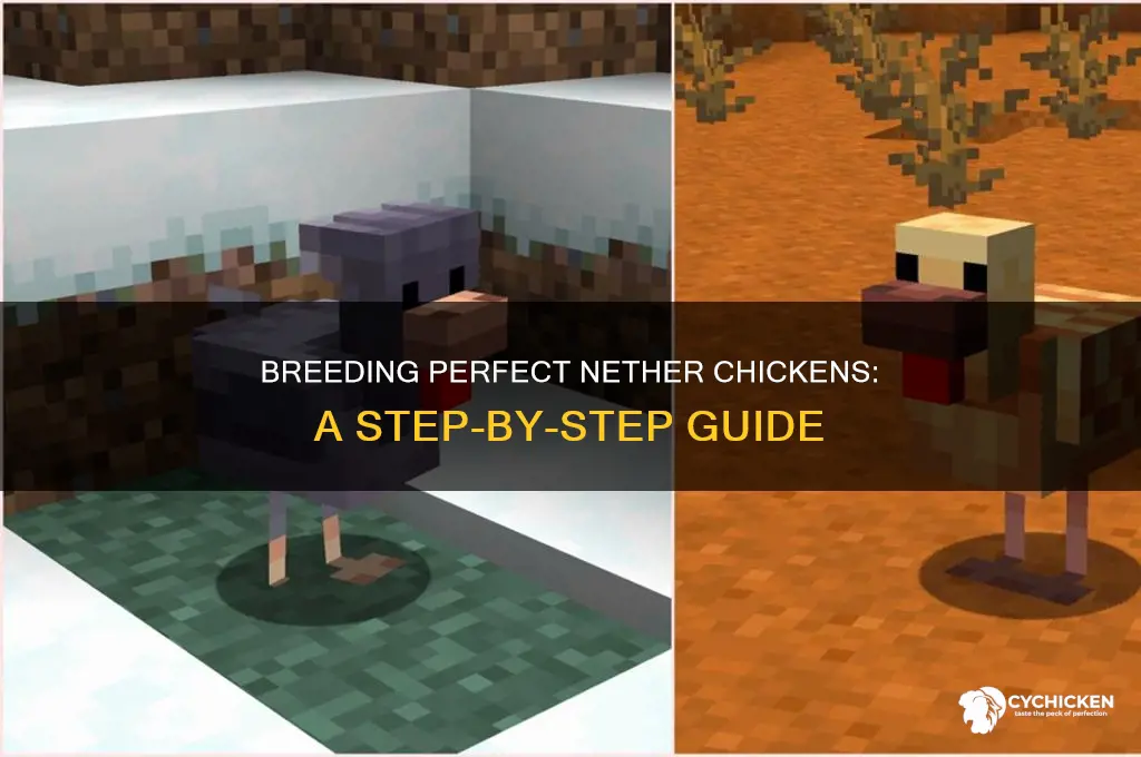 how to breed 10 10 10 nether chicken