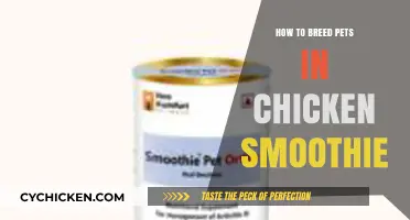 Breeding Pets in Chicken Smoothie: A Step-by-Step Guide for Beginners
