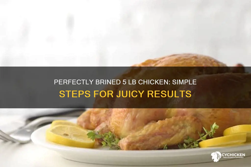 how to brine a 5 lb chicken