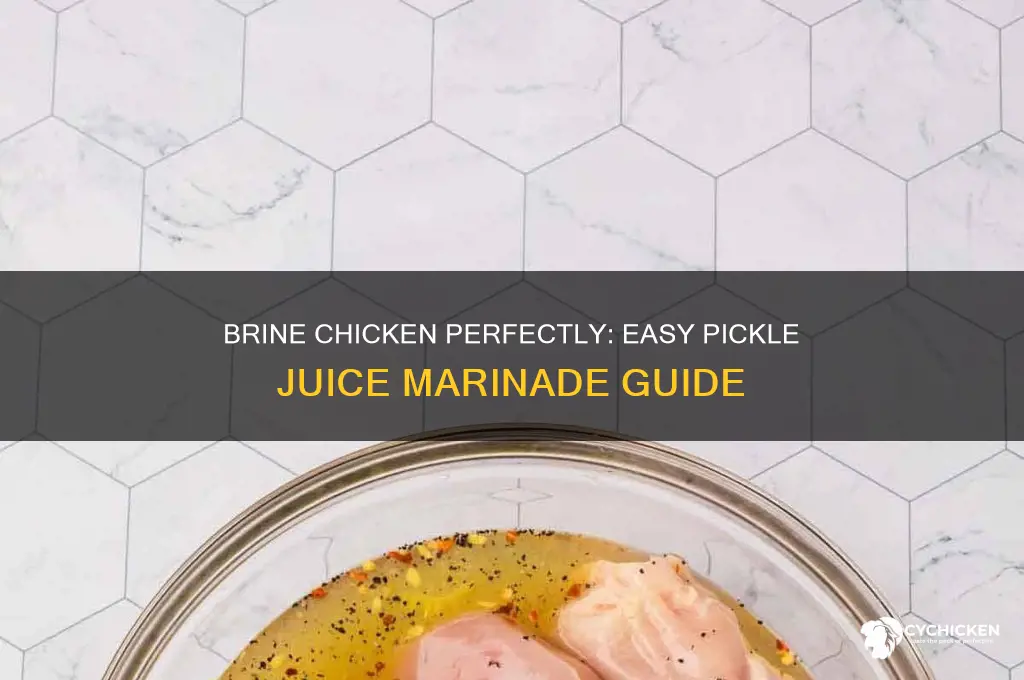how to brine chicken in pickle juice