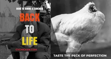 Reviving Chickens: A Step-by-Step Guide to Success