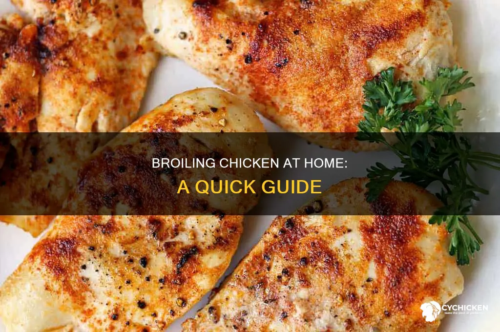 how to broil chicken in the house brolier