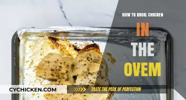 Perfectly Broiled Chicken: Simple Oven Techniques for Juicy Results