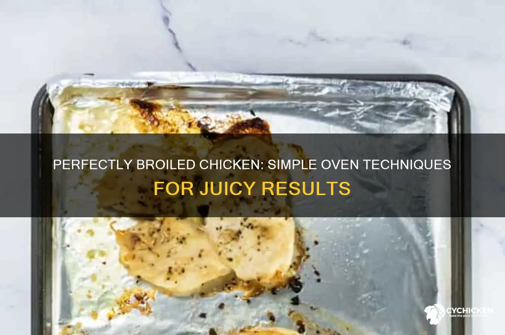 how to broil chicken in the ovem