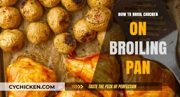 Mastering Broiled Chicken: Tips for Perfect Results on a Broiling Pan